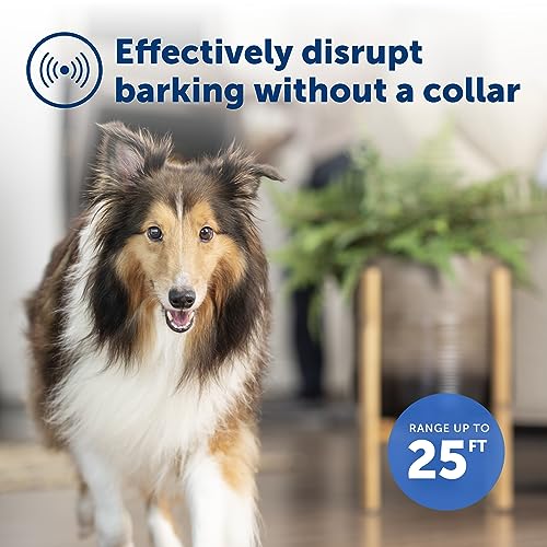 PetSafe Indoor Ultrasonic Dog Bark Control - No Collar Needed - Up to 25 ft Range - Anti-Bark Pet Training System - Automatic with Manual Trainer Button (Pack of 6) - size: 1 Count (Pack of 6)