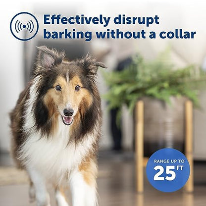 PetSafe Indoor Ultrasonic Dog Bark Control - No Collar Needed - Up to 25 ft Range - Anti-Bark Pet Training System - Automatic with Manual Trainer Button (Pack of 6) - size: 1 Count (Pack of 6)