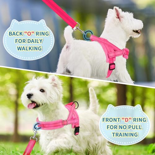 Lukovee No Pull Dog Harness and Leash Set, Soft Padded Small Dog Harness, Neck & Chest Adjustable Reflective Vest Puppy Harness with 4ft Lightweight Anti-Twist Dog Leash for Small Dogs (XXS, Pink) - color: B-pink, size: XXS ( Chest 11.5'' ~ 15'')