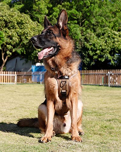 Tactical Dog Harness - PETNANNY Service Dog Vest for Large Dogs Fully Body Coverage in Training Dog Harness with 2 Reflective Dog Patches, Handle, Hook and Loop Panels, Dog MOLLE Vest (Khaki, XL) - color: Khaki, size: Extended Back XL (Chest: 31-49", Neck