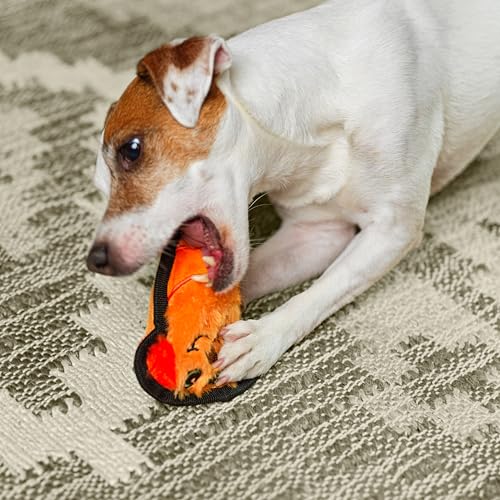 Outward Hound Durablez Minis Stuffing-Free Squeaky Plush Dog Toy for Puppies & Small Dogs - Interactive, Soft Yet Tough, No Mess, Jumbo Squeaker, Long-Lasting Play, Dog - color: Dog, size: X-Small (Pack of 1)
