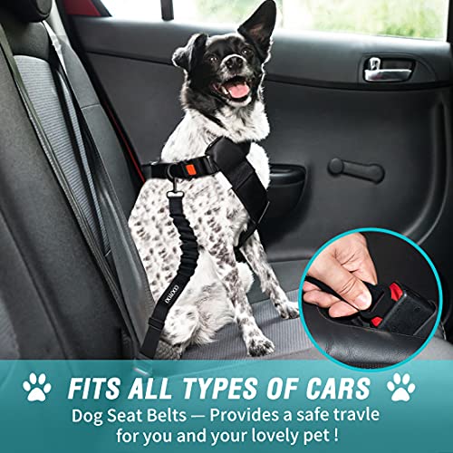 COOYOO Dog Seat Belt,Retractable Dog Car Harness Seat Belt for Car Adjustable Nylon Pet Safety Seat Belts Heavy Duty & Elastic Bungee Buffer - color: 03-Teal