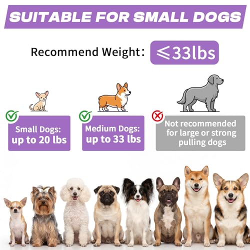 Retractable Dog Leash with USB Rechargeable Flashlight for Night Walks, 16FT Automatic Telescopic Tractor Dog Leash for Small and Medium Dogs, Purple - color: Purple