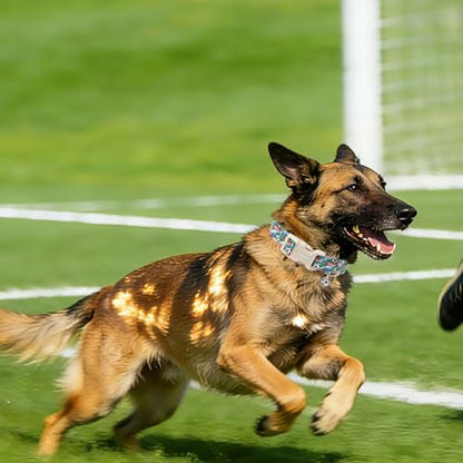 DOGWONG Football Dog Collar, Cute Blue Boy Dog Collar Adjustable Soft Male Female Pet Dog Collar Football Printed Puppy Necklace for Small Dogs,XS - color: Football, size: Extra Small