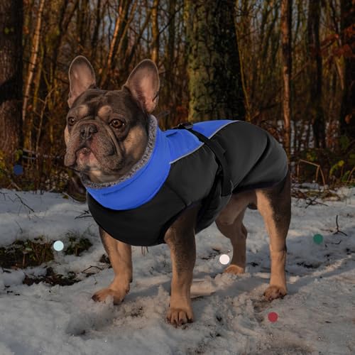 IECOii Extra Warm Dog Coat - Reflective, Adjustable Winter Jacket with Buckle & Fleece Turtleneck for Small, Medium & Large Dogs - color: Blue, size: Small(Chest:12.6-16.5 in)