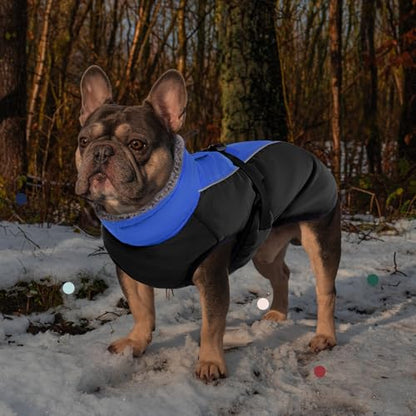 IECOii Extra Warm Dog Coat - Reflective, Adjustable Winter Jacket with Buckle & Fleece Turtleneck for Small, Medium & Large Dogs - color: Blue, size: Small(Chest:12.6-16.5 in)