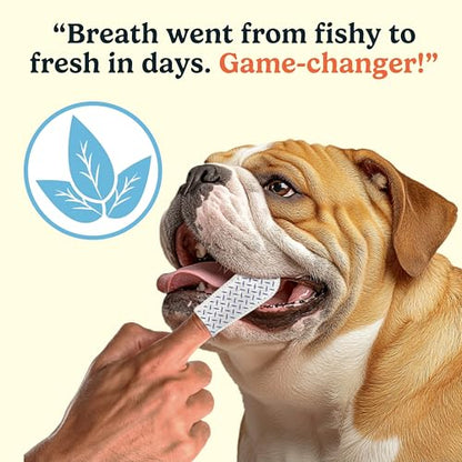 Jasper Dog Dental Wipes, Vet-Recommended All-Natural Finger Toothbrush Wipes for Dogs, Fresh Breath & Tartar Control in Seconds – No Brush and Toothpaste Needed, Unscented, 60 Count