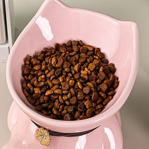 Disoza Ceramic Raised Cat Bowls for Indoor Cats 5.8 Inch Pink Cute Elevated Food Bowls 15° Tilted Whisker Friendly Water Bowl Dishwasher Safe Puppy Feeding Set Supplies Dog Accessories - color: Pink Cute Elevated Cat Food Bowls