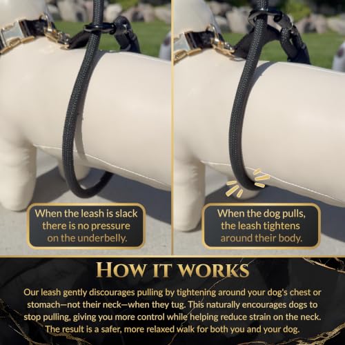Hands-Free No-Pull Dog Leash | Durable Adjustable Training Lead for Dogs | Calm Command Outdoor Activity Leash for Active Pet Lifestyle Breeds | Ergonomic Handle - Large (60+ lbs) - size: Large