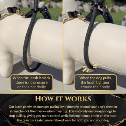 Hands-Free No-Pull Dog Leash | Durable Adjustable Training Lead for Dogs | Calm Command Outdoor Activity Leash for Active Pet Lifestyle Breeds | Ergonomic Handle - Large (60+ lbs) - size: Large