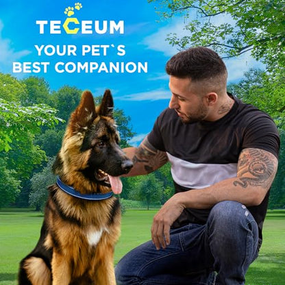 TECEUM Reflective Dog Collar – Navy Blue – S – Extra Soft Padding – Basic Nylon Pet Collar – Quick Release Buckle – Fits Small, Medium and Large Dogs, Puppies, Cats – ESA & Service Dog Options - color: Navy blue, size: Small