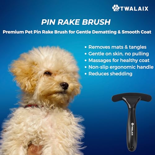 6 in 1 Pet Grooming Kit for Dogs & Cats - Deshedding Brush, Undercoat Rake, Slicker Brush, Nail Clipper, Nail File & Flea Comb for All Coat Types