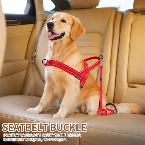 No Pull Dog Harness and Leash Set-Reflective Vest with Handle&5FT Dog Leash with Car Seatbelt Clip,Breathable Mesh&Quick Fit Dog Harness Easy for Medium Large Dogs Training Walking(Red,M) - color: Reflective-Red, size: M:Belly Chest-22.4''-27.6''