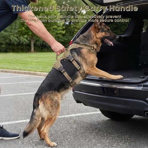 Escape Proof Dog Harness and Leash Set,Soft Padded Full Body Pet Harness, No Pull Reflective Adjustable Dog Vest with Handle, Easy Control Dog Harness for Medium Large Dogs Training Walking Running - color: Khaki, size: XL