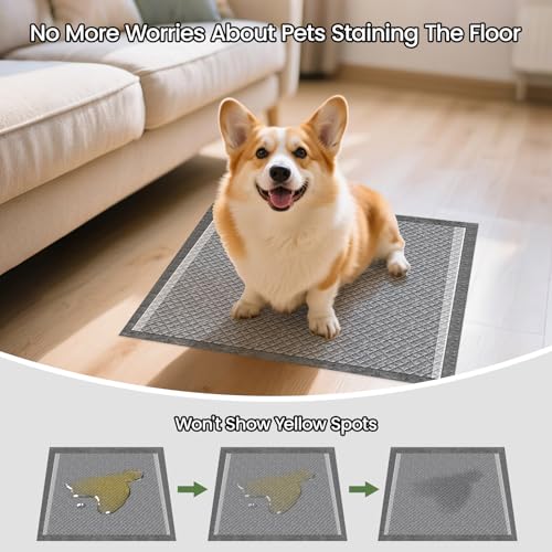 Charcoal Small Puppy Pads Pee Pads for Dogs 22"x22" 100 Count | Disposable Activated Carbon Super Absorbent Full Edge-Wrapping Pee Pads Odor-Control Training Pads for Doggie Cats Rabbits - size: 100 Count (22"x22")