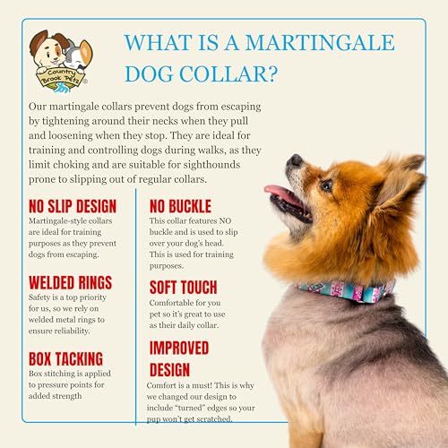 Country Brook Petz - HossFit Jr Wide Martingale Dog Collar - Country and Western Collection Featuring Rustic Designs (Blue Serape, Medium) - color: Blue Serape, size: Medium (Pack of 1)