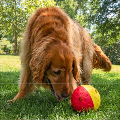 Outward Hound by Nina Ottosson Treat Tumble – Interactive Food-Dispensing Dog Puzzle Ball, Level 1 Beginner, Large, 5.8" - color: Treat Tumble (Large Red)