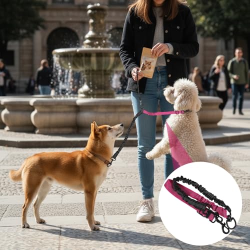 Molain Double Dog Leash Coupler, 360° Swivel No Tangle Splitter with Adjustable Strap and Shock Absorbing Bungee, Reflective Dual Lead for Two Different Size Dogs