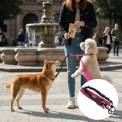 Molain Double Dog Leash Coupler, 360° Swivel No Tangle Splitter with Adjustable Strap and Shock Absorbing Bungee, Reflective Dual Lead for Two Different Size Dogs