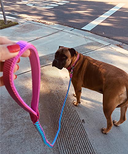 2/3/4/6/10 Foot Reflective Dog Leash Strong Nylon Rope Braided Heavy Duty for Large Medium Small Dogs Walking Training Leads (Pink, 10ft * 1/2") - color: Pink, size: 10ft * 1/2"
