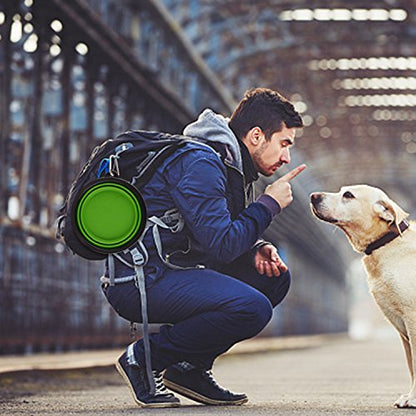 Guardians Large Collapsible Dog Bowls, 34oz Travel Water Food Bowls Portable Foldable Collapse Dishes with Carabiner Clip, 2 Pack (Green+Blue) - color: 34oz-Green&Blue