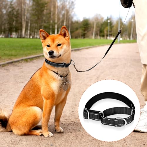 12 Pcs Martingale Collar for Medium Dogs Adjustable Pet Training Collar Reflective Dog Collar with Durable Metal Buckle Heavy Duty Nylon No Pull Martingale Collar for Small Medium Large Dogs, Large