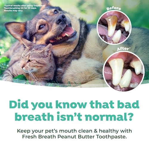 TropiClean Fresh Breath Plaque & Tartar Control Kit | Dog Toothpaste, Toothbrush & Finger Brush | Dog Toothbrushing Kit | Peanut Butter Flavor