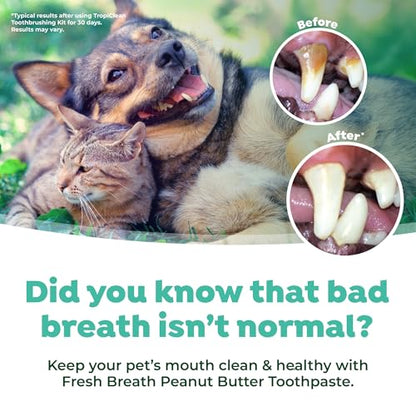 TropiClean Fresh Breath Plaque & Tartar Control Kit | Dog Toothpaste, Toothbrush & Finger Brush | Dog Toothbrushing Kit | Peanut Butter Flavor