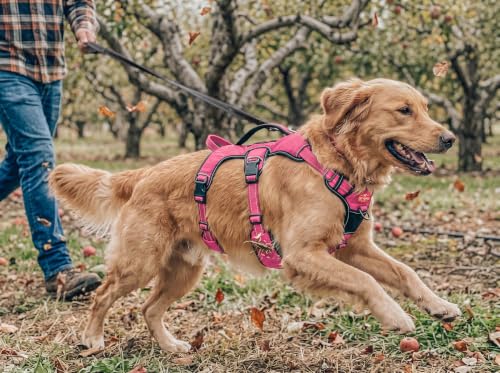Tuff Pupper Escape Proof No Escape Dog Harness | 5 Point Adjustable Fit Harness for Dogs | Padded Dog Harnesses | Handle Dog Lift Harnesses - color: Hot Pink, size: Large: 27-32 Inch Chest