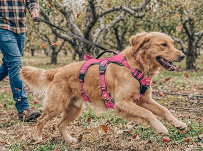 Tuff Pupper Escape Proof No Escape Dog Harness | 5 Point Adjustable Fit Harness for Dogs | Padded Dog Harnesses | Handle Dog Lift Harnesses - color: Hot Pink, size: Large: 27-32 Inch Chest