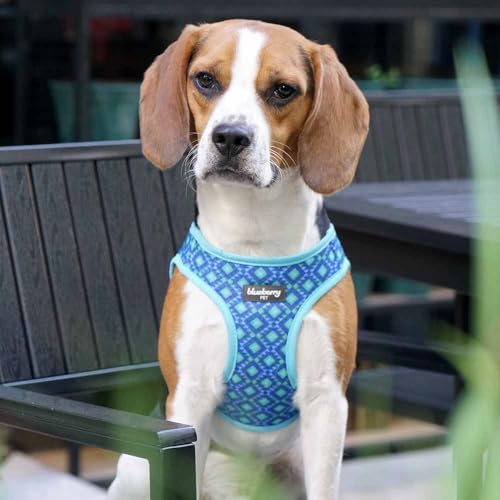Blueberry Pet Southwestern Tribal Lozenges Stylish Green Dog Harness Vest, XS, Adjustable Harnesses for Puppies Small Dogs - color: Stylish Green, size: (15 1/2"-16 1/2") Chest Girth (Pack of 1)