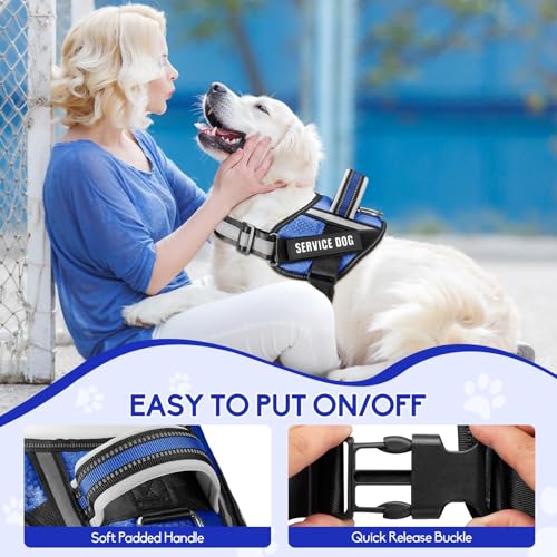Service Dog Vest Harness and Leash Set, Animire in Training Dog Harness with 10 Dog Patches, Reflective Dog Leash with Soft Padded Handle for Small, Medium, Large, and Extra-Large Dogs - color: Blue, size: XXS
