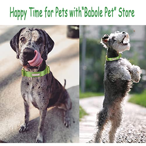 Nylon Dog Collar - Adjustable Green Soft Webbing Dog Collars for Small Medium Large Dogs Boy Girl Puppy Collar with Safety Metal Buckle XS - color: Nylon-Green, size: XS