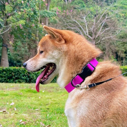 Waterproof Dog Collar Durable and Easy to Clean Rubber Dog Collars Odor-Proof Fits Small Medium Large Dogs (Rose Purple, Small (9.5-14.2” Neck)) - color: Rose Purple, size: Small (9.5 -14.2” Neck)