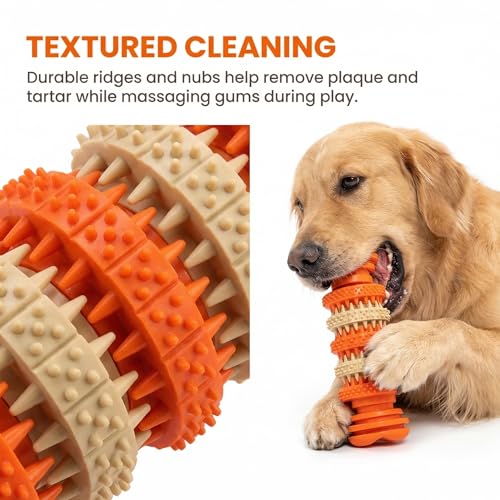 Dog chew Toys, Suitable for Teething Pets, Durable, and Good for Dental Cleaning. Interactive Dog Toys for Small, Medium, and Puppy chewers. - color: Bone