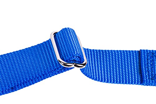GOGO Pet Products 3/8-Inch Martingale Dog Collar, X-Small, Blue - color: Blue, size: Xsmall (3/8" web width)