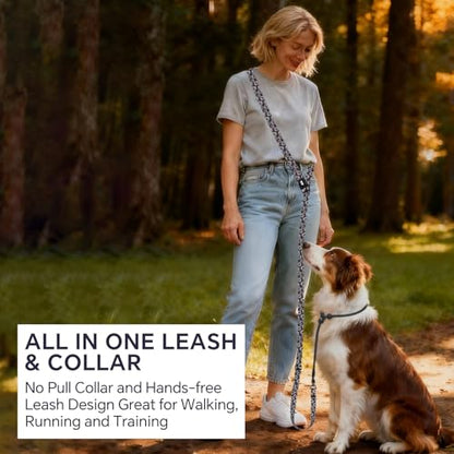 QQPETS Adjustable Slip Lead Dog Leash, Hands Free Waist Leash for Dog Walking, Reflective Training Lead with 360° Swivel Anti-Tangle, 4-7 ft Length for All Breeds - color: White Daisy