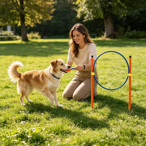 Agility Course for Dogs Exercise Game with Tunnel | Dog Playground Equipment for Outdoor Garden Park Beach Playground Field Competition Recreation - color: B