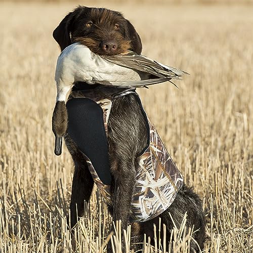 AUSCAMOTEK Neoprene Dog Vest for Duck Hunting - Insulated Camouflage Vest for Waterfowl Retriever - size: XL