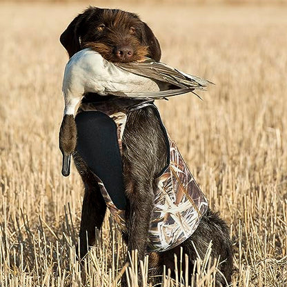 AUSCAMOTEK Neoprene Dog Vest for Duck Hunting - Insulated Camouflage Vest for Waterfowl Retriever - size: XL