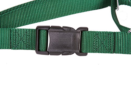 GOGO Pet Products 1-Inch Martingale Dog Collar, Large, Hunter Green - color: Hunter Green, size: Large (1" web width)