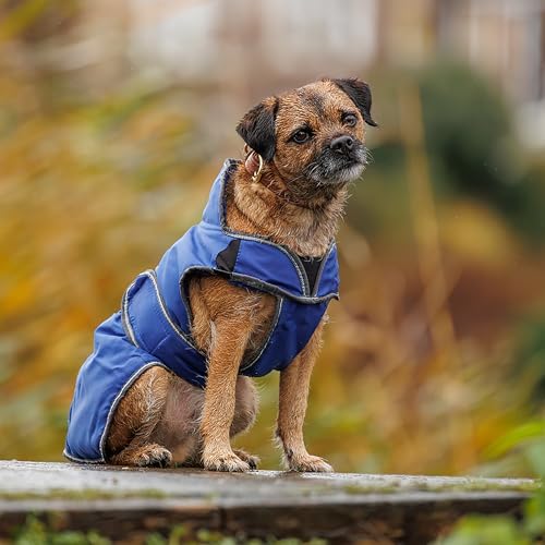 WeatherBeeta ComFiTec Windbreaker Free Deluxe Dog Coat, Dark Blue/Grey/White, 32" - color: Dark Blue/Grey/White, size: 32"