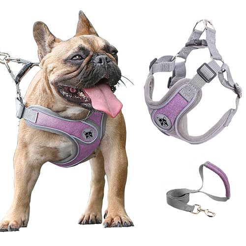 Puppy Harness and Leash Set,No Pull Adjustable Step in Soft Mesh Vest Harness,Easy Walk Reflective Pet Harness with Padded Handle for Walking Training Small Medium Large Dogs and Cats (Purple, XS) - color: Purple, size: XS