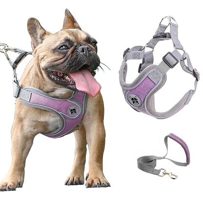 Small Dog Harness and Leash Set,No Pull Adjustable Step in Soft Mesh Vest Harness,Easy Walk Reflective Pet Harness with Padded Handle for Walking Training Small Medium Large Dogs and Cats (Purple, S) - color: Purple, size: S