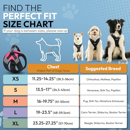 Gooby Soft Mesh X Step in Dog Harness - Pink, Medium - color: Pink, size: Medium
