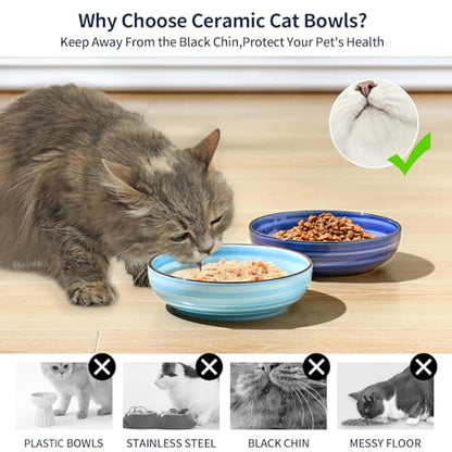 Selamica Ceramic Cat Food Bowl, 5.6 Inch Wide Shallow Cat Bowls/Dishes for Food and Water, Whisker Friendly, Set of 6, Gradient Blue - color: Gradient Blue, size: 5.6 Inch, Set of 6