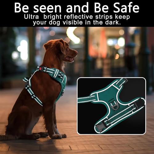 Timos Dog Harness Small Sized, No Pull Pet Harness with Neck Lockable Snap, No Choke Front Clip Reflective Vest, Adjustable Metal Rings 3 Buckles, Easy Control Handle for Small Dogs Grass Green S - color: Lock Grass Green, size: Small (Pack of 1)