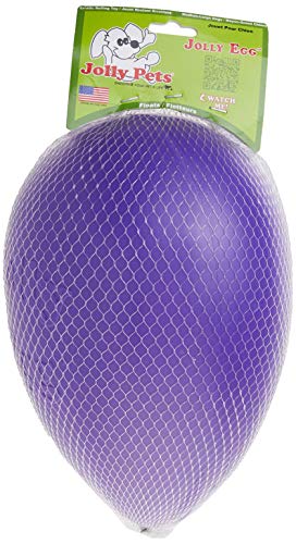 Jolly Pets Jolly Egg Dog Toy, 12 Inches/Large, Purple - color: Purple, size: Large (12 in)
