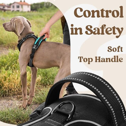 rabbitgoo Dog Harness Small Sized, No Pull Pet Harness with 3 Buckles, Adjustable Soft Padded Vest with Control Handle, Walking Reflective Pet Vest for Small Dogs, Black, S - color: Black, size: Small
