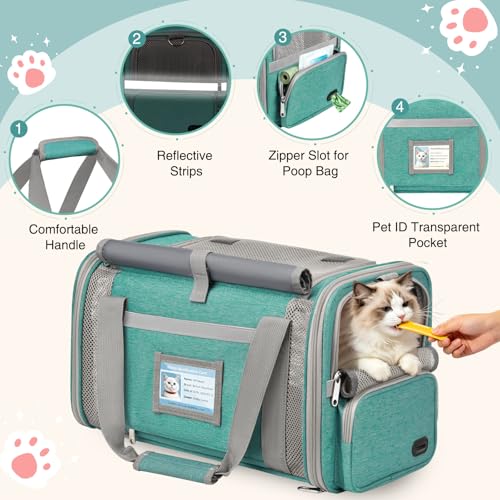 Soft Cat Carrier for Pets Up to 20 Lbs, Collapsible Cat Carrier Bag with Privacy Curtains, Airline Approved Small Pet Carrier for Small Medium Cats Dogs Puppy, Washable Soft Pet Travel Bag Dog Carrier - color: Lake Green